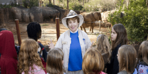 educationtour elephants ZA 4680 e1482257200539