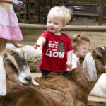 Petting Zoo photo