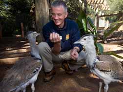 Kori Bustard and Ethotrak Project 1 jamesballance_korichicks_za_3273