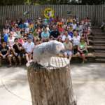 guest watching wildlife theater show