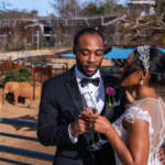 On a balcony overlooking the elephant habitat, a couple dressed in formal attire pose while toasting glasses champagne.