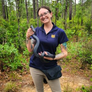 Eastern indigo snake release day 2 Melissa, Director of Interpretive Planning and Engagement participates in an indigo snake release