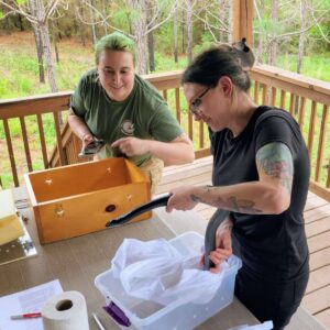 Eastern indigo snake release day 1 Melissa, Director of Interpretive Planning and Engagement participates in an indigo snake release