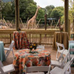 Decorated tables in Twiga Terrace with two giraffes