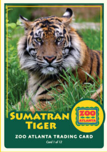 A graphic showing a Tiger Member Trading card.