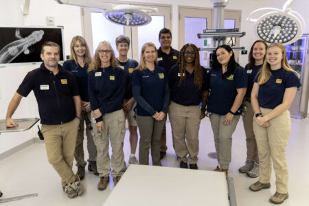 The Zoo Atlanta Vet Team poses for a team photo in the Rollins Animal Health Center