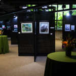 The Art Gone Wild art work on display inside.