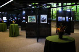 The Art Gone Wild art work on display inside.