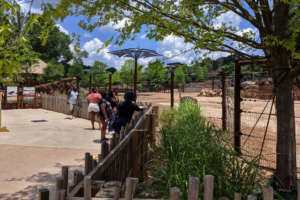 2019-Present: A New Era of Transformation 1 An interpreter talks to a few guests in front of a ostrich in its habitat.