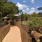 A path lined with a bamboo fences passed by a zoo habitat on its way to the Savanna Vista event space.