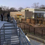 Several well-dressed guest stand on a balcony overlooking the elephant habitat at sunset.