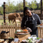a catering staff member serves food in front of the elephant habitat
