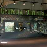 inside view of Georgia Extremes building