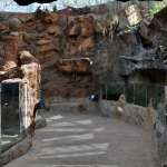 inside scaly slimy spectacular