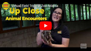 Virtual Field Trip Video Link Thumbnail